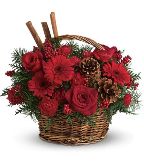 Christmas Flowers