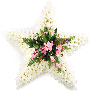 Pink and White Star
