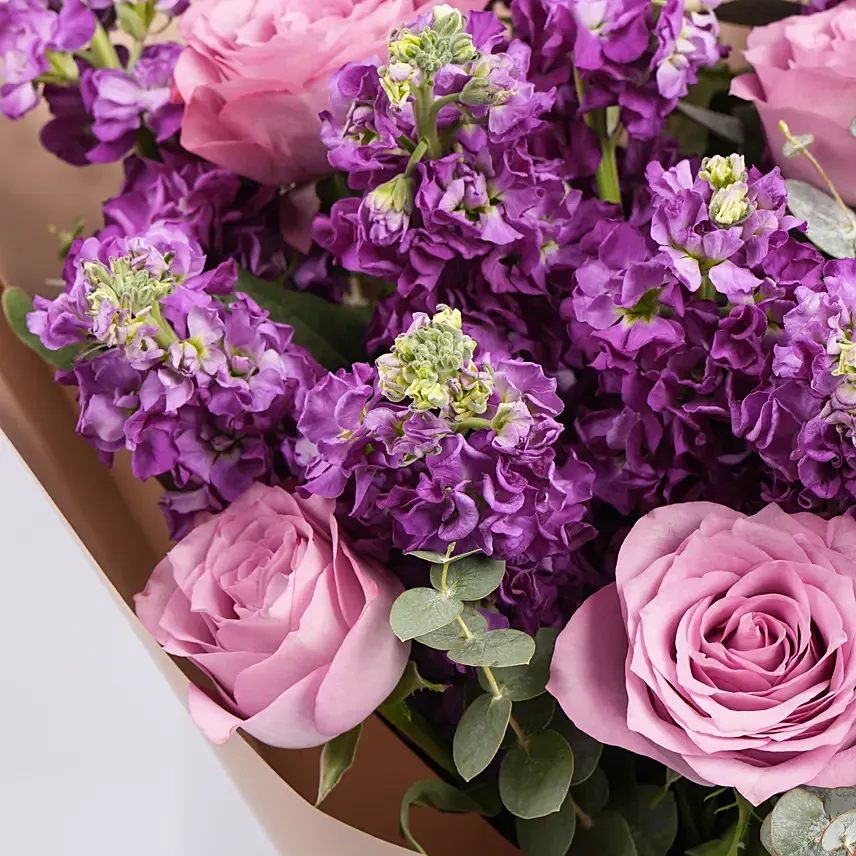 Lilac Fusion