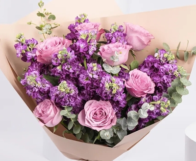 Lilac Fusion
