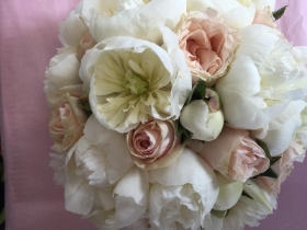 Peonies