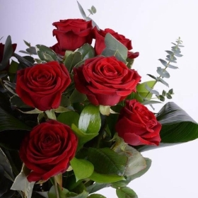 6 I Love you Roses