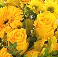 Florist Choice Yellow
