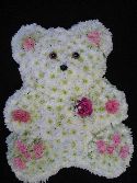 Large 2D Teddy