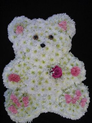 Large 2D Teddy